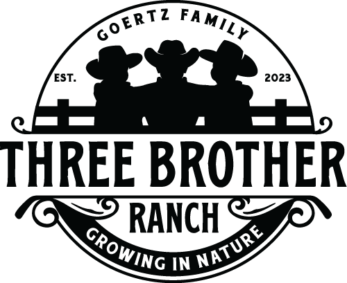 Three Brother Training